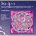 Wensli Silk Scarf - 12 constellations